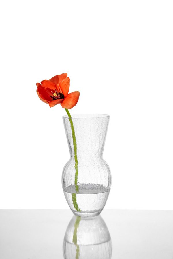 Klimchi Studio Felicity Crackle Vase Kristall
