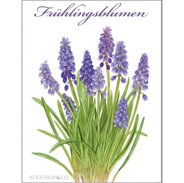 Fru CC 88hlingsblumen web